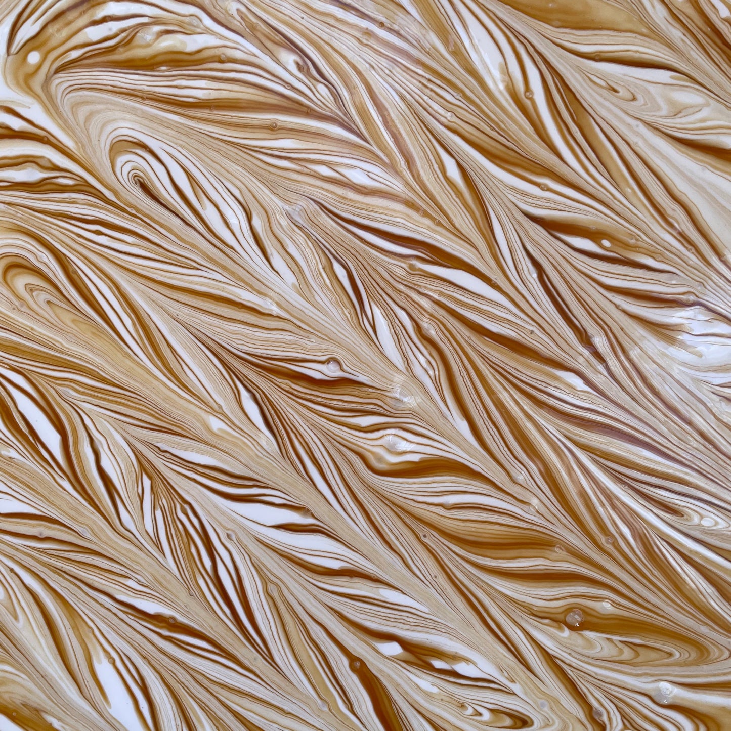 Caramel Swirl - 5 Pack